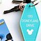 Image result for Disneyland Customized Phone Case