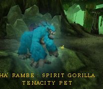 Image result for Spirit Pet