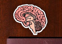 Image result for Brain Meme Sticker