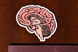 Image result for Brain Sticker