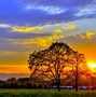 Image result for Summer Sunset Desktop
