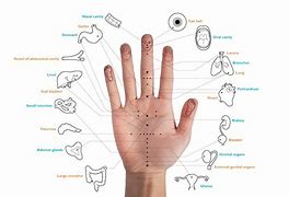 Image result for Korean Hand Acupuncture Chart