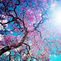 Image result for Spring Wallpaper with Green and Blue Flowers