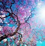 Image result for Cute Spring Flowers Background