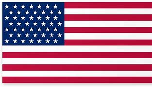 Image result for USA Vertical Logo