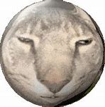 Image result for Mac OS X Snow Leopard GIF