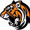 Image result for Tiger Sports Logo