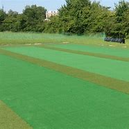 Image result for Cricket Grass Pitches