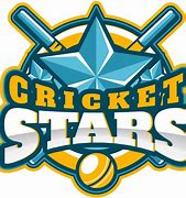 Image result for Cricket Team Banner