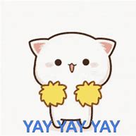 Image result for Happy Meme Cat Yay