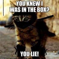 Image result for Ninja Cat Meme