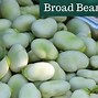 Image result for Bean Pod