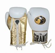 Image result for Grant Boxing Gloves