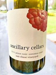 Image result for Ancillary Pinot Noir Whole Cluster Sun Chase
