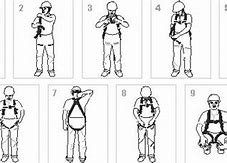 Image result for Full Body Harness Parts Name with Image