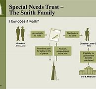 Image result for Special Needs Trust Chart