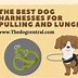 Image result for Dog Chest Harness for Pulling