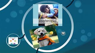 Image result for co_to_za_zooterapia