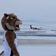 Image result for Montana State Mascot Champ