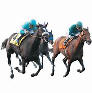 Image result for Race Horse Transparent