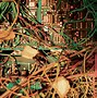 Image result for Analog and Digital Electronics