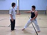 Image result for Styles of Kung Fu