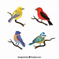 Image result for Flat Bird Vector