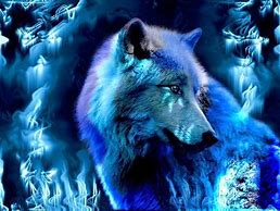 Image result for Mystical Wolf