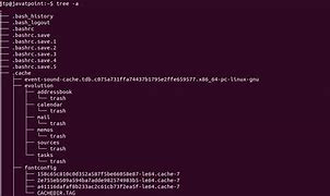 Image result for Linux Tree Command
