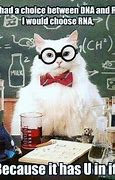 Image result for Chemistry Memes Actually Funny