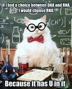 Image result for DNA Meme Chemistry