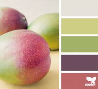 Image result for Apple Color Scheme