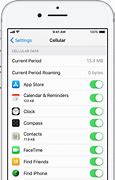 Image result for Cellular Data iPhone