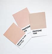 Image result for Pantone Rose Gold Metallic Recipes