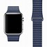 Image result for apples watch show 3 band magnet
