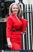 Image result for Liz Truss Red Box