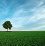 Image result for Tree Tower Wallpaper