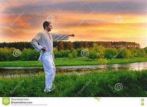 Image result for Martial Arts Stock Photos