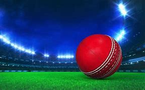 Image result for Sporter Cricket Equipment