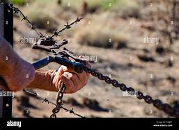 Image result for Barb Wire Fence Plyers