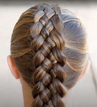 Image result for Different Braids