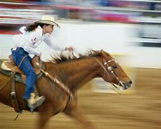 Image result for Rodeo