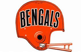 Image result for Cincinnati Bengals Helmet Logo