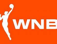 Image result for WNBA White Outline Logo