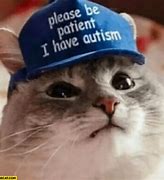 Image result for Please Be Patient I Have Autism Meme