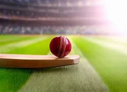 Image result for Cricket Bat Ball