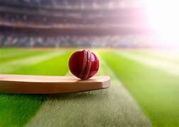 Image result for Cricket Bat with Cricketer Pak Unsplash