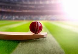 Image result for Cricket Match Bat