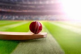 Image result for Indian Cricket Bat