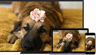 Image result for AirPlay Screen Mirroring Receiver